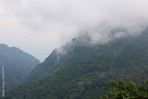 View of fog in forest on top tree in mountain at thailand
