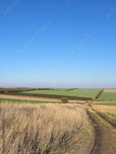 A road with grass and blue sky