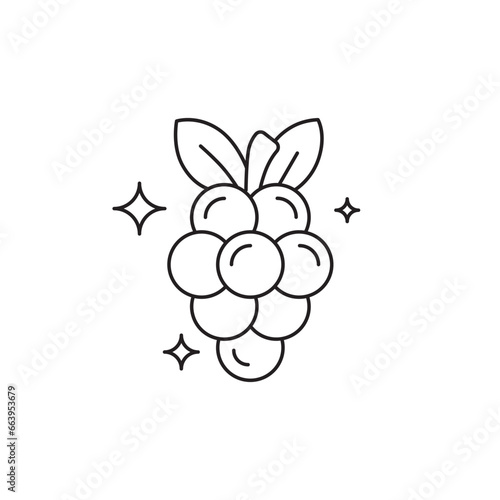 Grape icon. Grape flat sign design. Grape symbol vector pictogram. UX UI icon grape