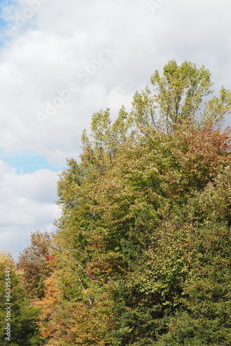 Fall scenery at the Churchville Nature Center in Bucks County, PA.  photo