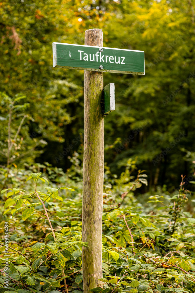 Herbstliche Wanderung durch den Naturpark der Hohen Schrecke im Kyffhäuser - Thüringen - Deutschland