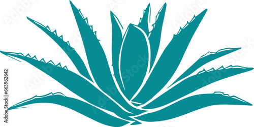 Agave plant vector drawing svg photo