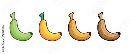 Stages of banana in different states of decomposition, raw, ripe, and rotten on a white background.