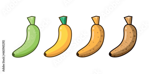 Stages of banana in different states of decomposition, raw, ripe, and rotten on a white background.