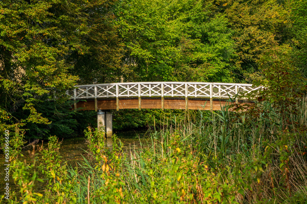 A white pedestrian bridge in the park in autumn, Germany. A white pedestrian bridge in the park in autumn, Germany.