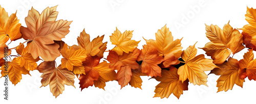 Autumn fall leaves border isolated with colored red leaves on a Transparent background. Top view  copy space  PNG