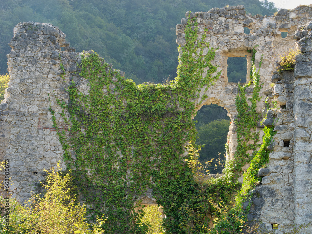 Ταπετσαρία View of the ruins of stone walls overgrown with ivy of medieval Samobor Castle o