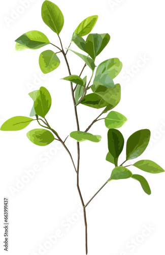 Branch of green leaves clip art