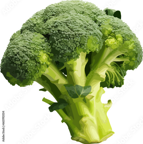 Broccoli clip art