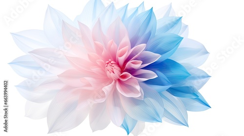 pastel tender flower, aesthetic core