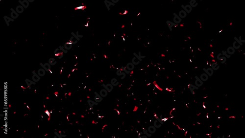 Red Confetti Falling on a a Black, Green, Blue and White Background.