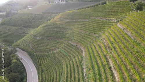 Ultental, Blick auf Weinberge, Südtirol, aerial view,
