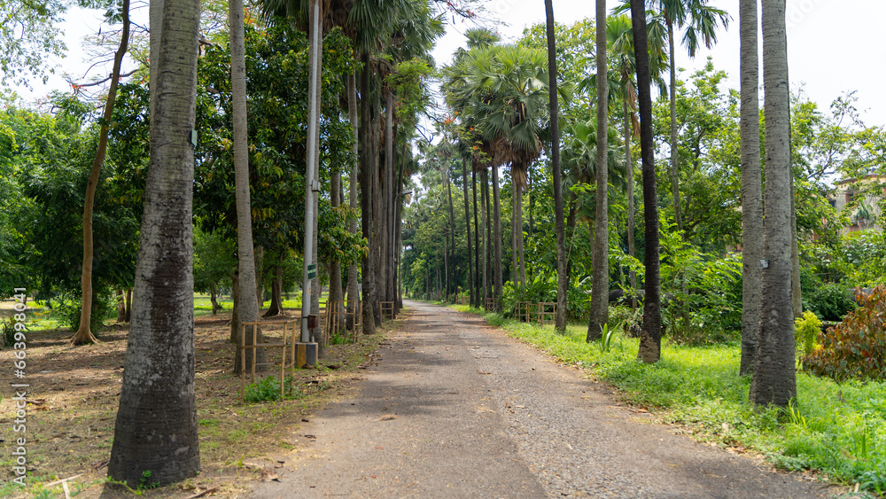 Botanic Garden located in Howrah, West Bengal, India Botanic Garden located in Howrah, West Bengal, India