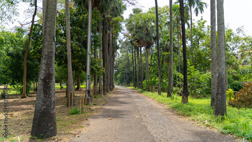 Botanic Garden located in Howrah, West Bengal, India photo