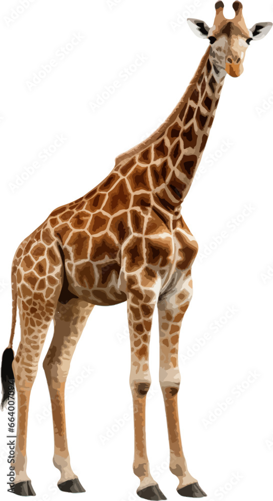 Naklejka premium Giraffe clip art