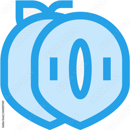 Sapodilla Vector Icon Design Illustration