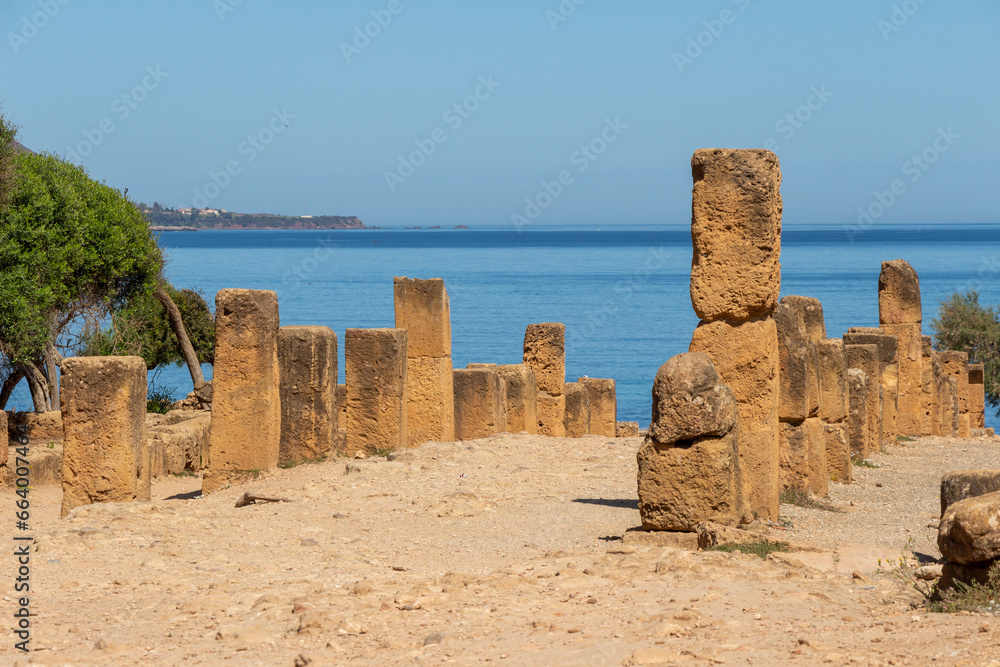 Ruins of the Roman Archeological Park of Tipaza ( Tipasa ), Algeria.
