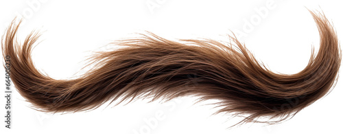 mustache made from long hair isolated on white background