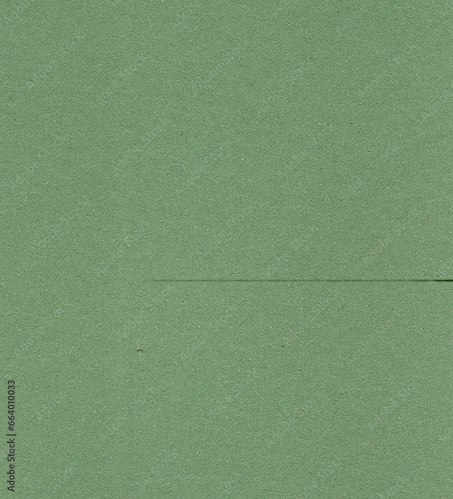 Fototapeta premium green wall texture