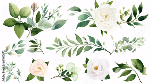 A collection of individual white blossom   verdant leaf components  presented in a watercolour flower illustration.