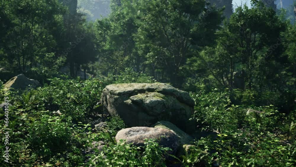 A solitary rock surrounded by a vibrant green forest A solitary rock surrounded by a vibrant green forest