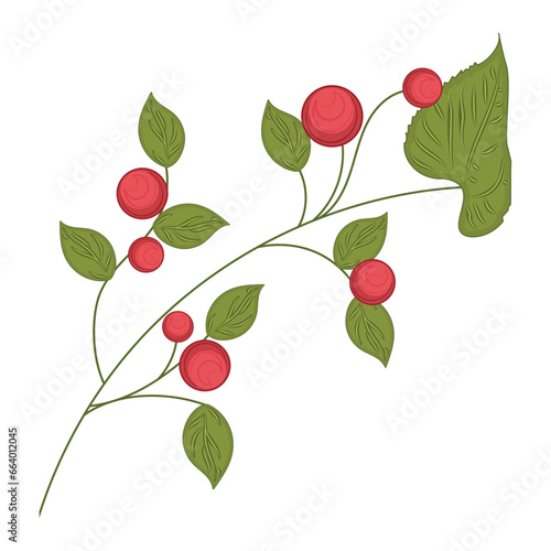 Colored sketch of natural leaves branch Vector illustration