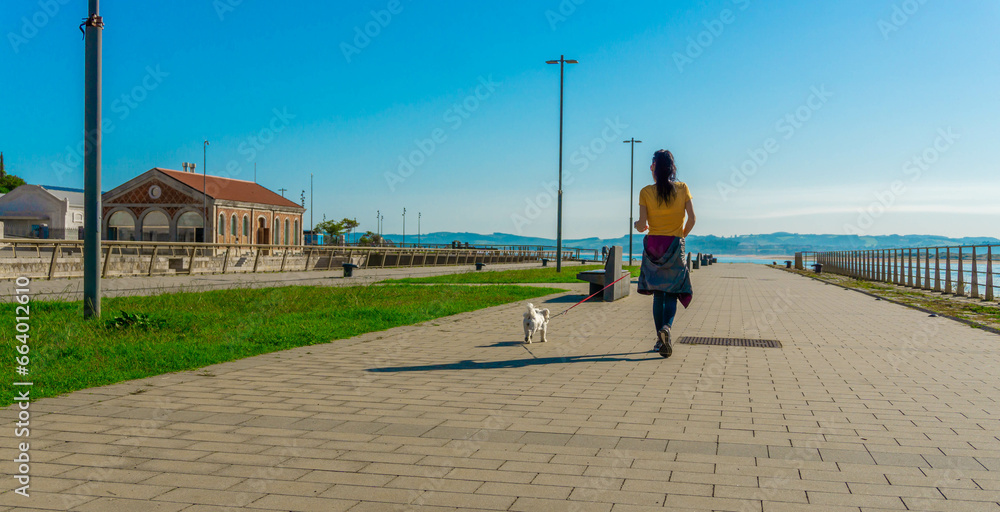 Rear View of Adult Walking on Beach Boardwalk with Ocean View