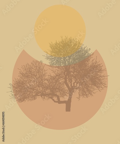 illustration of a silhouette of a tree photo