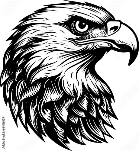 Eagle head woodcut drawing vector illsutation