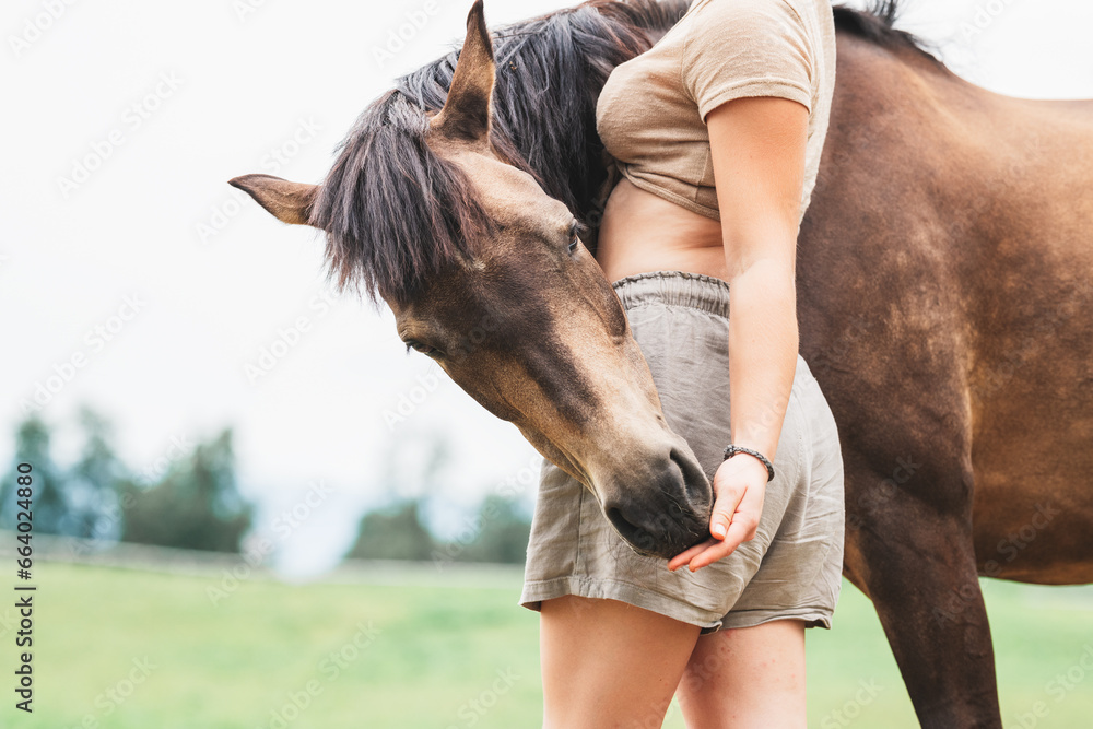 Obraz premium Pferdeliebe