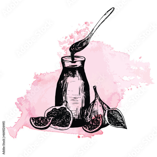 Hand-drawn ink illustration. Fig syrup in a glass bottle with fresh figs and slices on the watercolor background. Vector photo