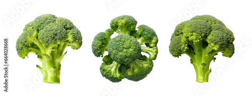Set of Broccoli isolated cutout on transparent background