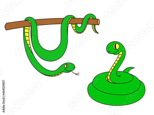 Cute cartoon green snakes. The snake is coiled in a ring and the snake is on a branch. Flat vector illustration with outline.