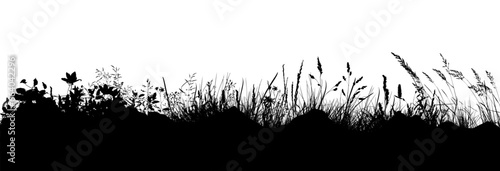 Black silhouette of grass. Skyline. Floral background. Wild grass. hand drawing. Not AI  Illustrat3 . Vector illustration.