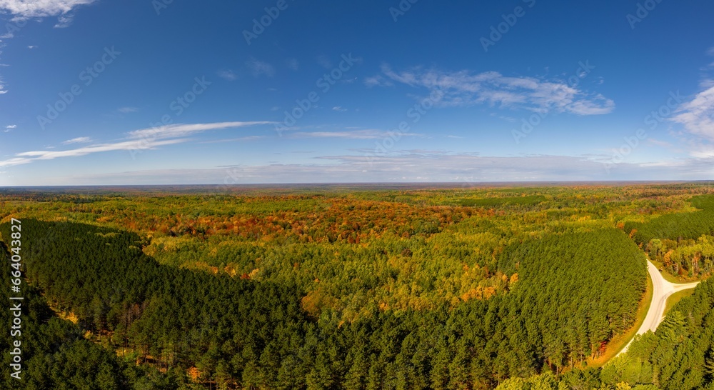 Aerial view of a lush green landscape with rows of trees under the blue sky in Michigan , USA