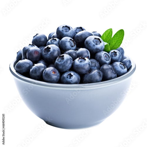 A Bowl of Blueberries Isola...