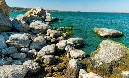 Natural landscape, green Enteromorpha algae on rocks near the shore of the Khadzhibey estuary