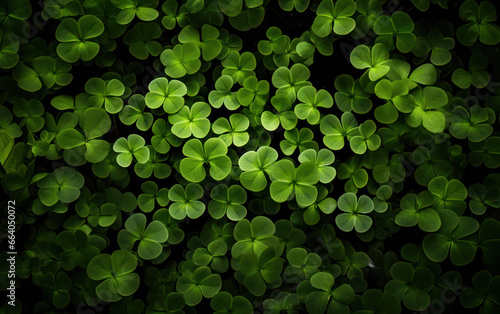 shamrock background