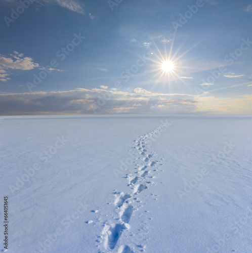 snowbound plain at the bright  sunny winter day