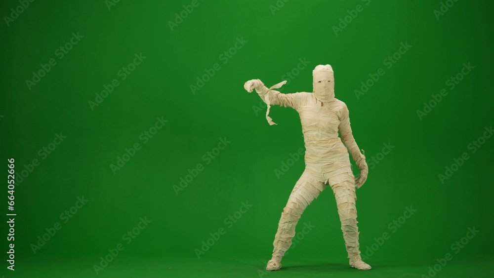 A mummy wrapped in bandages posing and looking into the camera. Green screen isolated chroma key. Mock up, workspace, advertisement. Full length. A mummy wrapped in bandages posing and looking into the camera. Green screen isolated chroma key. Mock up, workspace, advertisement. Full length.