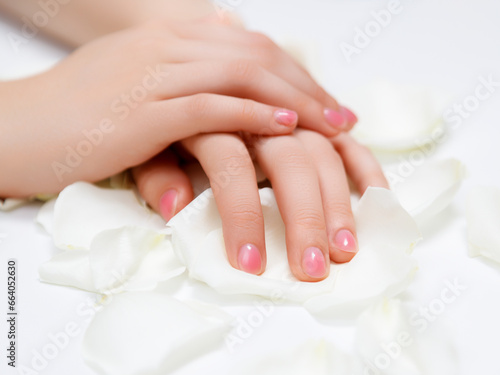 Closeup top view of elegant pastel pink natural manicure. Female hands isolated on white background. Horizontal color photography.