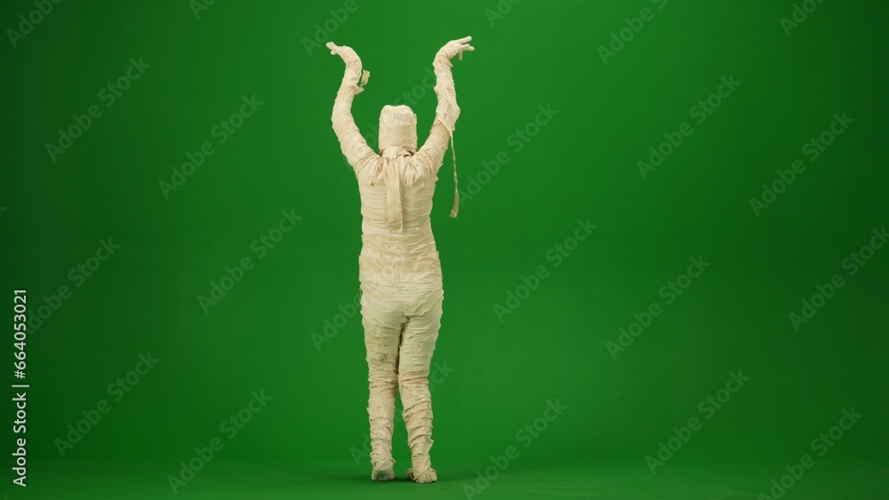 Mummy wrapped in bandages poses with arms raised and curved, rear view. Green screen isolated chroma key. Mock up, workspace, advertisement. Full length. Back view. Mummy wrapped in bandages poses with arms raised and curved, rear view. Green screen isolated chroma key. Mock up, workspace, advertisement. Full length. Back view.
