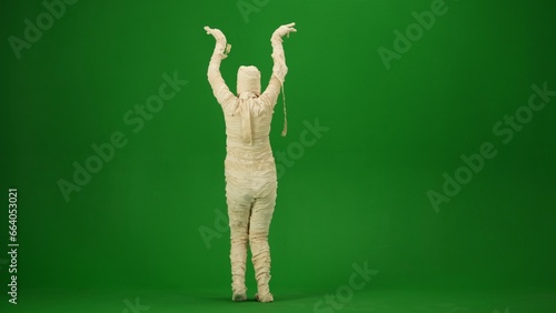 Mummy wrapped in bandages poses with arms raised and curved, rear view. Green screen isolated chroma key. Mock up, workspace, advertisement. Full length. Back view.
