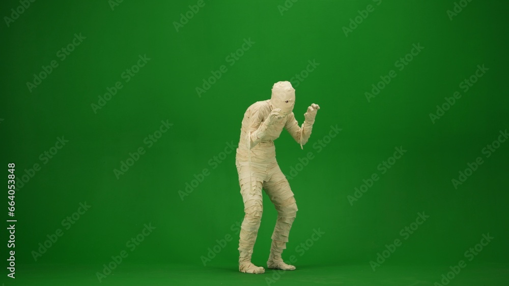 A mummy wrapped in bandages poses in a scary pose. Green screen isolated chroma key. Mock up, workspace, advertisement. Full length. Half turn. A mummy wrapped in bandages poses in a scary pose. Green screen isolated chroma key. Mock up, workspace, advertisement. Full length. Half turn.