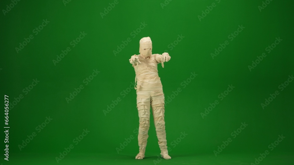 Green screen isolated chroma key photo capturing a mummy outstretching its arms and as if it's trying to scare. Full length. Green screen isolated chroma key photo capturing a mummy outstretching its arms and as if it's trying to scare. Full length.