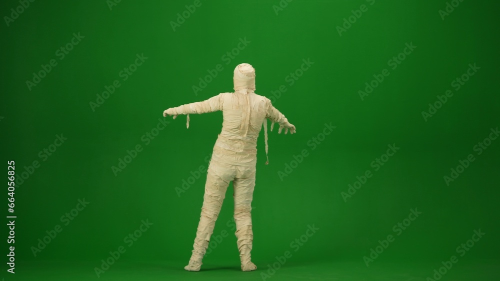 Green screen isolated chroma key back view photo capturing a mummy outstretching its arms and as if it's trying to scare. Full length. Green screen isolated chroma key back view photo capturing a mummy outstretching its arms and as if it's trying to scare. Full length.