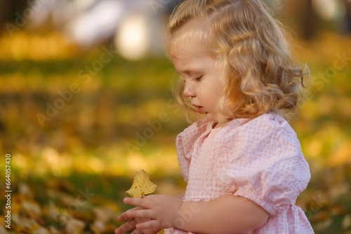 Portrait of smiling little girl walks in the rays of a sunset, enjoying the autumn, warmth, flowers, freedom. Child having fun outdoors