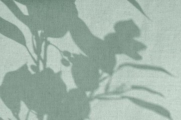 Abstract botanical pattern, sunlight shadow silhouette of leaves on linen sage green fabric. Aesthetic background for sustainable eco business brand