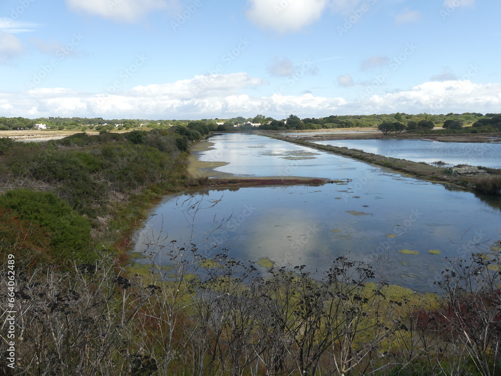 Fototapeta premium salins sauvages