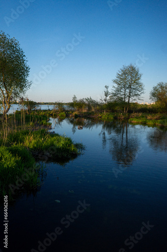 reflection of trees in the water